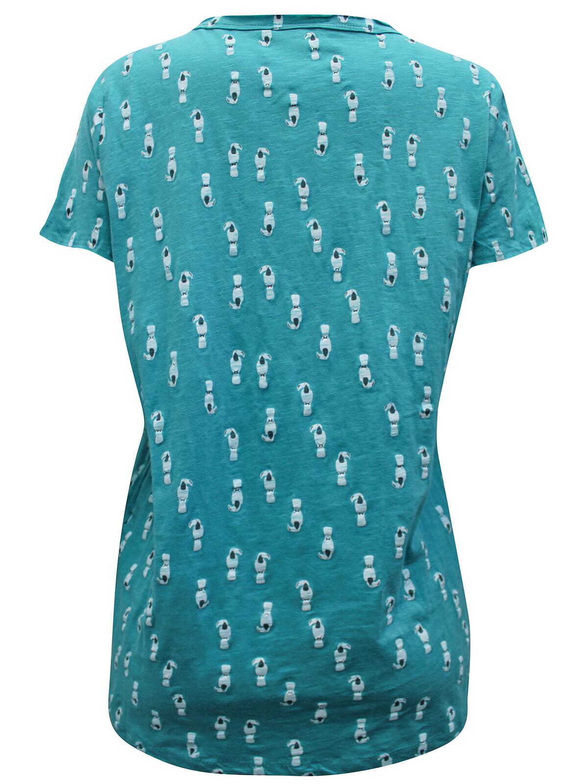 Pure Cotton Toucan Bird Top Plus Size 14/16 18/20 22/24 26/28 Teal T-shirt 648